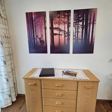 Pension-appartements Waldruh * Achenkirch
